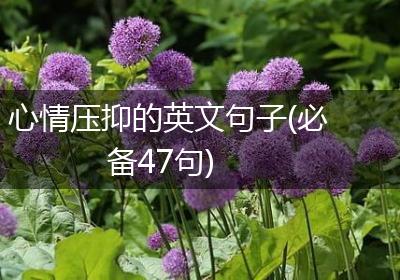 心情压抑的英文句子(必备47句)