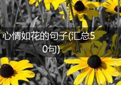 心情如花的句子(汇总50句)