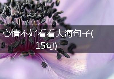 心情不好看看大海句子(15句)