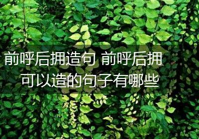 前呼后拥造句 前呼后拥可以造的句子有哪些