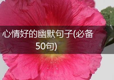 心情好的幽默句子(必备50句)