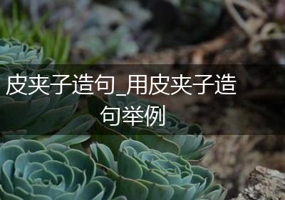皮夹子造句_用皮夹子造句举例