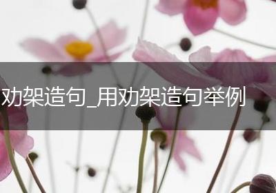 劝架造句_用劝架造句举例