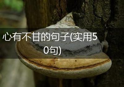 心有不甘的句子(实用50句)