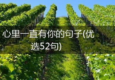 心里一直有你的句子(优选52句)