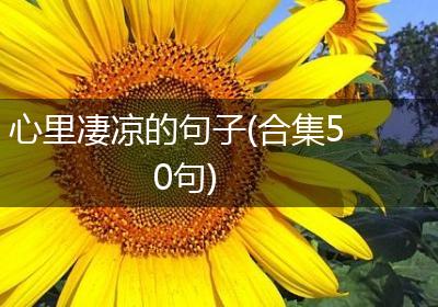 心里凄凉的句子(合集50句)