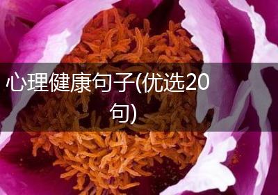 心理健康句子(优选20句)