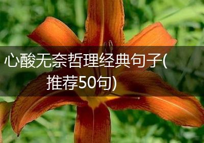 心酸无奈哲理经典句子(推荐50句)