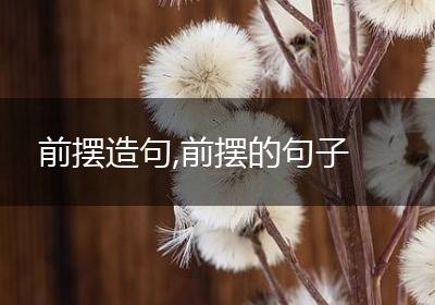 前摆造句,前摆的句子