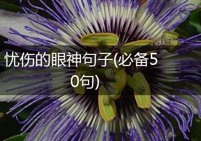 忧伤的眼神句子(必备50句)