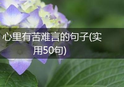 心里有苦难言的句子(实用50句)
