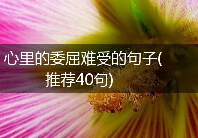 心里的委屈难受的句子(推荐40句)