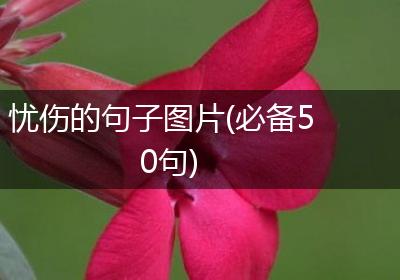 忧伤的句子图片(必备50句)