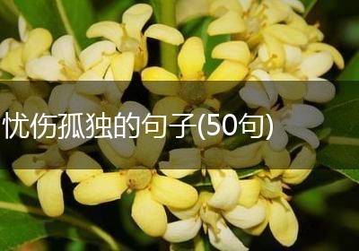 忧伤孤独的句子(50句)