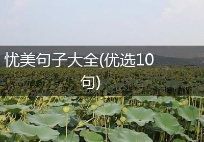忧美句子大全(优选10句)