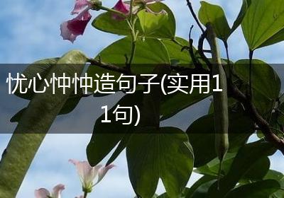 忧心忡忡造句子(实用11句)