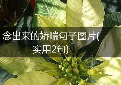 念出来的娇喘句子图片(实用2句)