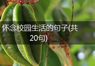 怀念校园生活的句子(共20句)