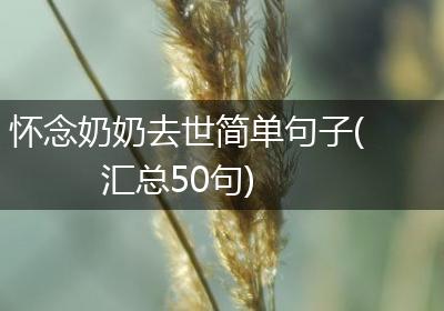 怀念奶奶去世简单句子(汇总50句)