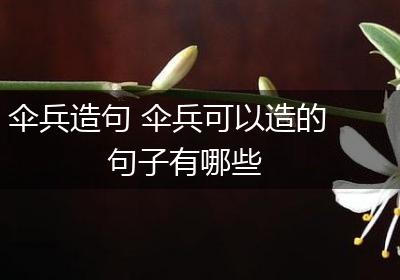 伞兵造句 伞兵可以造的句子有哪些