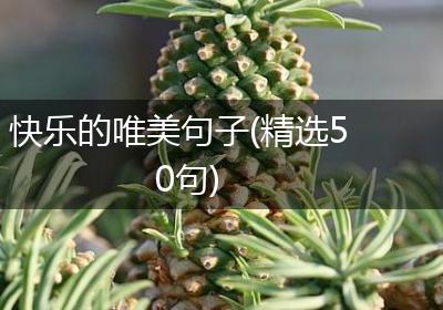 快乐的唯美句子(精选50句)