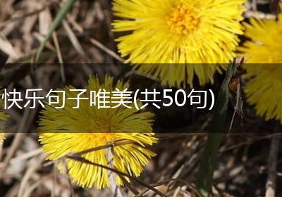 快乐句子唯美(共50句)