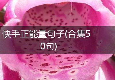 快手正能量句子(合集50句)