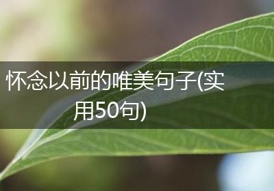 怀念以前的唯美句子(实用50句)