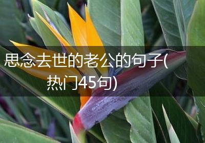 思念去世的老公的句子(热门45句)