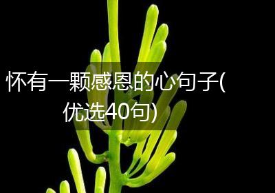 怀有一颗感恩的心句子(优选40句)
