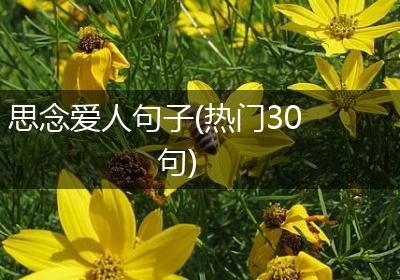 思念爱人句子(热门30句)