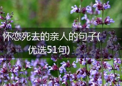 怀恋死去的亲人的句子(优选51句)