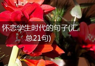 怀恋学生时代的句子(汇总21句)