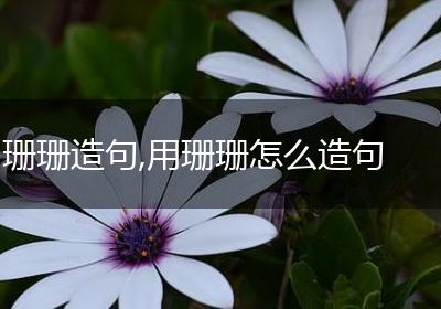 珊珊造句,用珊珊怎么造句