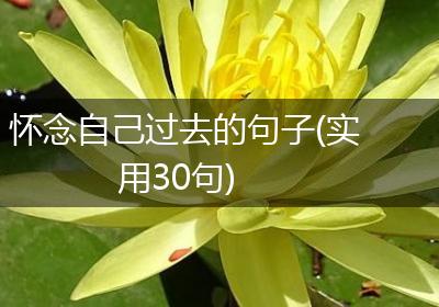 怀念自己过去的句子(实用30句)