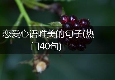 恋爱心语唯美的句子(热门40句)