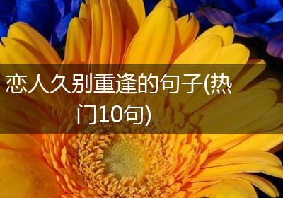 恋人久别重逢的句子(热门10句)