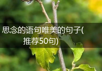 思念的语句唯美的句子(推荐50句)