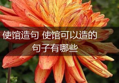 使馆造句 使馆可以造的句子有哪些