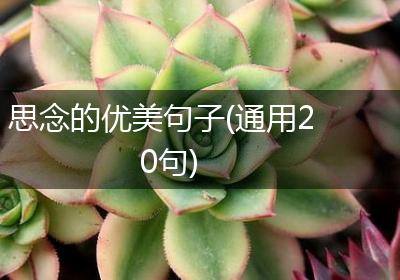 思念的优美句子(通用20句)