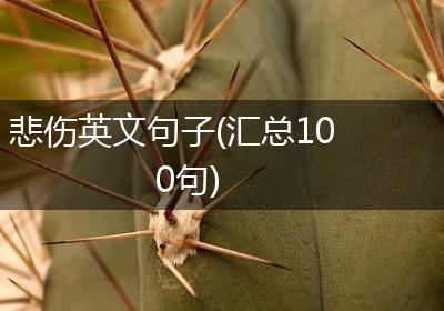 悲伤英文句子(汇总100句)