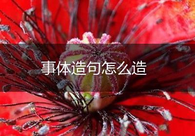 事体造句怎么造