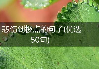悲伤到极点的句子(优选50句)