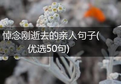 悼念刚逝去的亲人句子(优选50句)