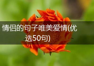 情侣的句子唯美爱情(优选50句)
