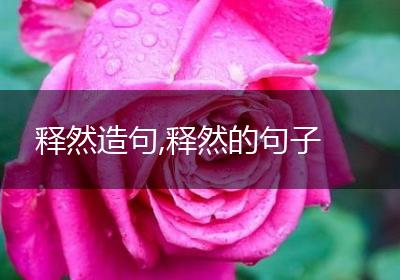释然造句,释然的句子