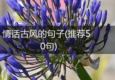 情话古风的句子(推荐50句)