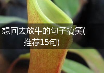 想回去放牛的句子搞笑(推荐15句)
