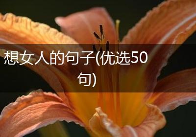 想女人的句子(优选50句)