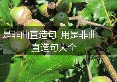 是非曲直造句_用是非曲直造句大全